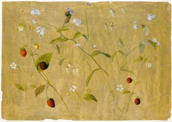 Strawberries and Forget-Me-Nots