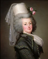 Marie-Antoinette of Habsbourg-Lorraine, Archduchess of Austria, Queen of France and Navarre, 1788