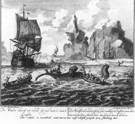 “The whale turns and thrashes while it is being flensed” (no. 6 from the whaling series)