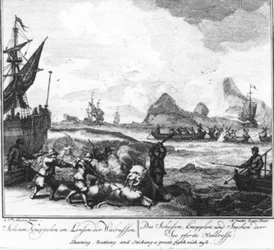 “Shooting, Clubbing and Lancing Walruses” (No. 9 from the Whaling Series)