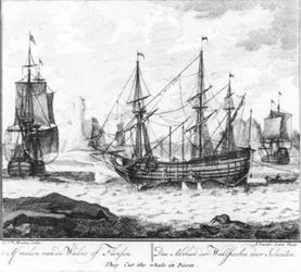 “Killing the Whale or Flensing” (No. 8 from the Whaling Series)