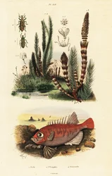Unknown Image