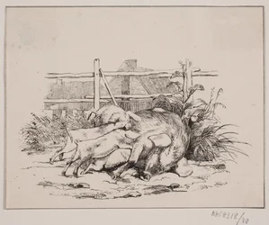 The Pigs