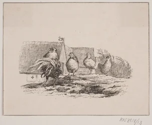 The Rooster