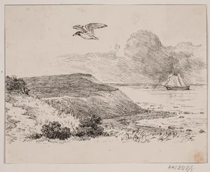 The Seagull
