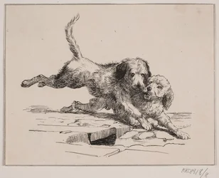 The Fight