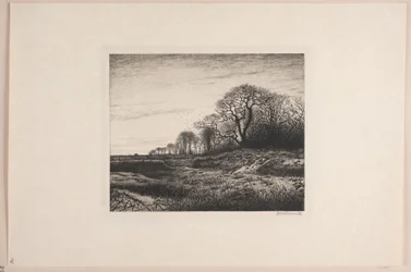February Evening