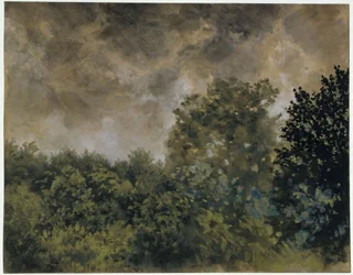 View of Foliage