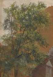 View from the Studio Window in Marienstraße 22