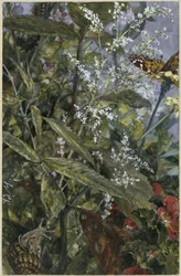 Flowers with a Butterfly and Snail. From the „Children