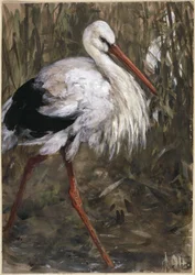 The Stork in the Reeds. From the "Children