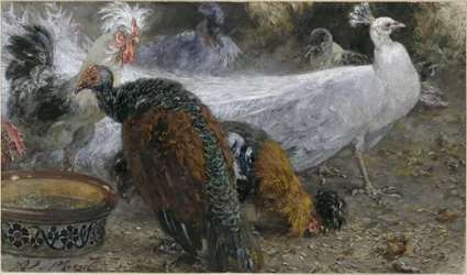 The White Peacock with a Turkey Hen and Chickens. From the "Children