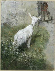 The Goat and the Wooden Horse. From the “Children