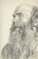 Head of a Bearded Man