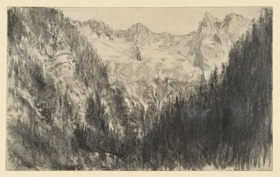 High Mountains with a Fir Forest in the Foreground