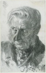 Head of an Old Man