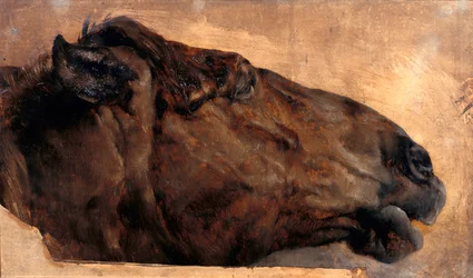 Horse Study. Head in Profile Facing Right