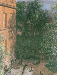 View of a Small Yard
