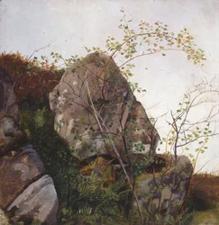 Blooming Wild Roses and Ferns