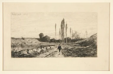 Path by the Edge of the Water