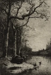 The Burbanche Marsh (large plate)