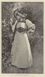 Amrei