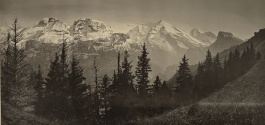 Alpine Landscape