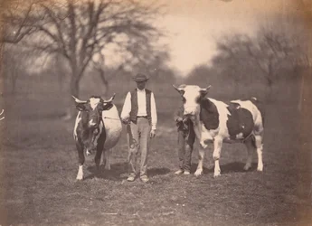 Landscape, c. 1864