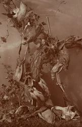 Still Life: Dead Game