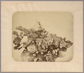 Still Life with Quinces and Berries