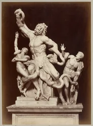 The Laocoon in the Vatican Museum