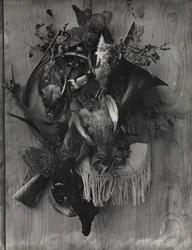 Trophy of the Hunt