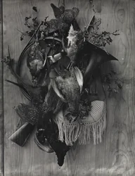 Trophy of the Hunt
