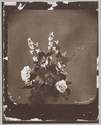 Untitled (flower arrangement)
