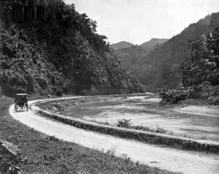 Road to Bog Walk, Jamaica, c1905