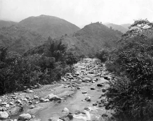 The Wag-River, Castleton, Jamaica
