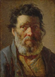 Head of an Old Man