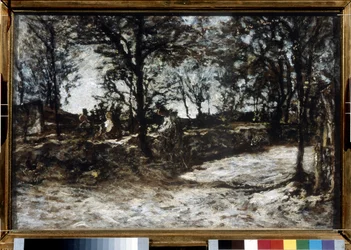 Landscape. Fontainebleau