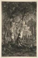 The Beeches