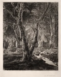 Forest of Pierrefonds