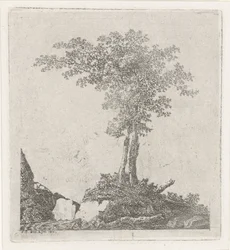 Two Trees