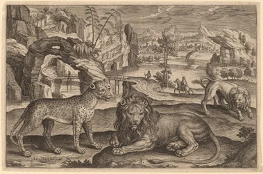 A Leopard and Two Lions