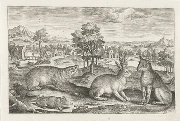 Forest Animals