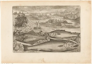 Three Fish on the Beach (series title: Fish, Piscivm vivae icones)