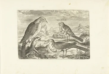 Three Birds in a Landscape