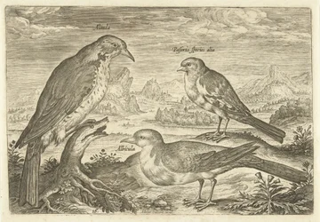 Three Birds in a Landscape (Living Birds)