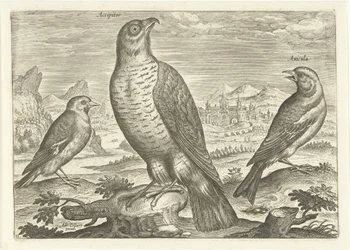 Three birds in a landscape, Birds (series title), Avivm vivae (series title)