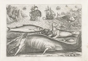 A Haddock, a Sea Lion, and a Whale on the Beach