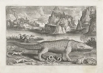 Several Reptiles and Amphibians on a Shore (Piscivm Vivae Icones)