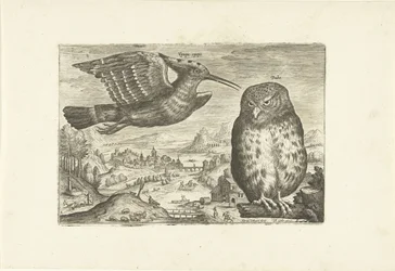 Several Birds in a Landscape